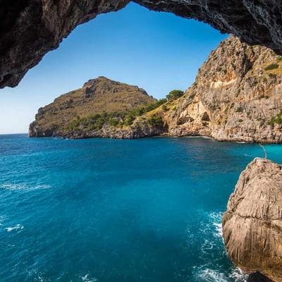 Organic Short Grain Rice 10kg