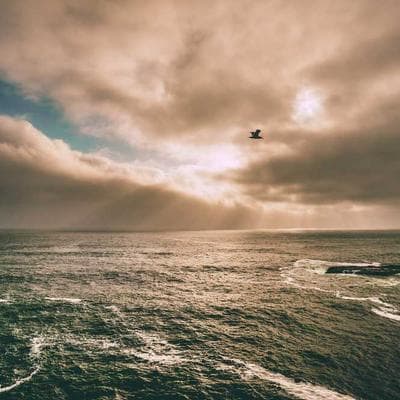 Precision Pour-Over Coffee Maker Set